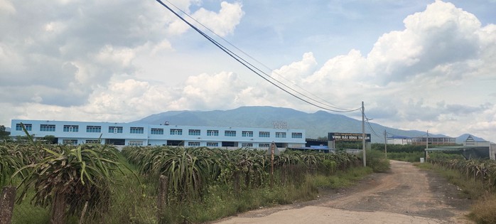 Bình Thuận: Đề nghị chuyển hồ sơ sang công an điều tra việc chuyển mục đích 45.000 m2 đất trái quy định - Ảnh 1.