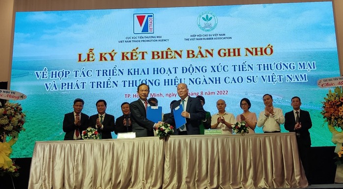 Phát triển thương hiệu ngành cao su Việt Nam - Ảnh 1.