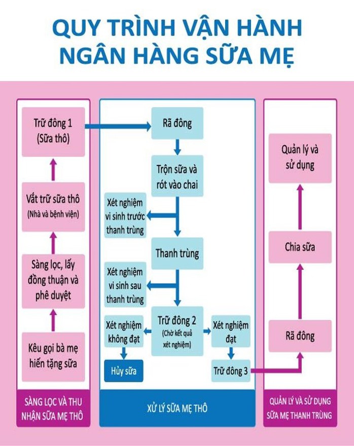 Kêu gọi phụ nữ mới sinh hiến sữa để giúp nhóm trẻ sinh non, bệnh tật - Ảnh 4.