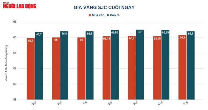 Giá vàng hôm nay 12-9: Vàng thế giới tiếp tục lao dốc, vàng SJC neo giá cao - Ảnh 2.