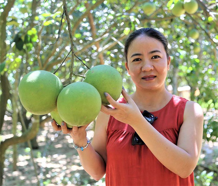 Để bưởi thanh trà đi xa - Ảnh 1.