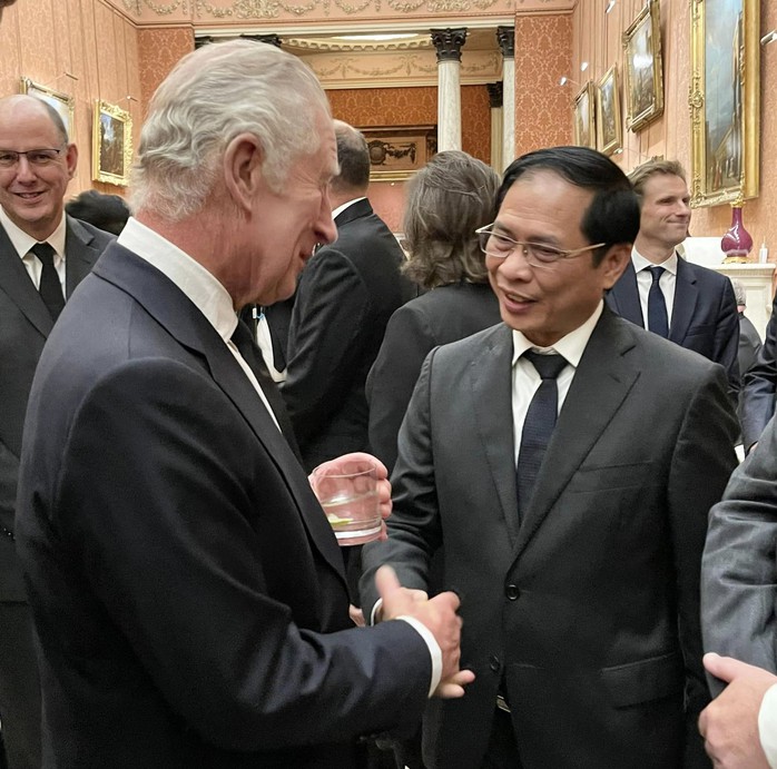 Dự quốc tang Nữ hoàng Anh, Bộ trưởng Ngoại giao Bùi Thanh Sơn gặp Nhà vua Charles III - Ảnh 3.
