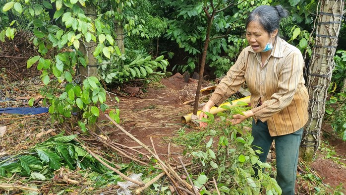 Thi công Quốc lộ 19, nhà dân lãnh đủ - Ảnh 2.