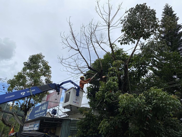 Tổng công ty Điện lực miền Trung tập trung toàn lực, khẩn trương ứng phó bão Noru - Ảnh 3. Tổng công ty Điện lực miền Trung tập trung toàn lực, khẩn trương ứng phó bão Noru - Ảnh 3.