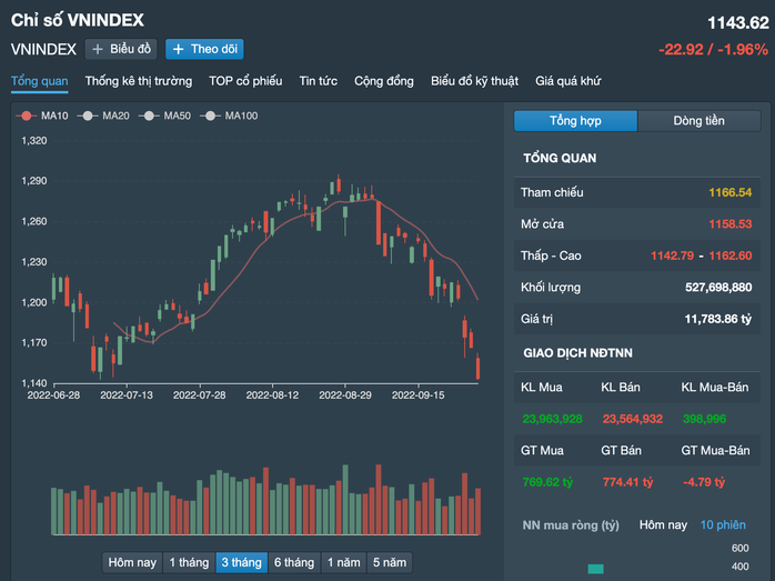 Cổ phiếu hôm nay 28-9: VN-Index xuống đáy, cổ phiếu đầu tư công giảm sàn hàng loạt - Ảnh 1.