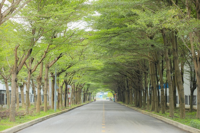 Khu công nghiệp Thành Thành Công: Xanh - Sạch - Bền vững - Ảnh 3. Khu công nghiệp Thành Thành Công: Xanh - Sạch - Bền vững - Ảnh 3.