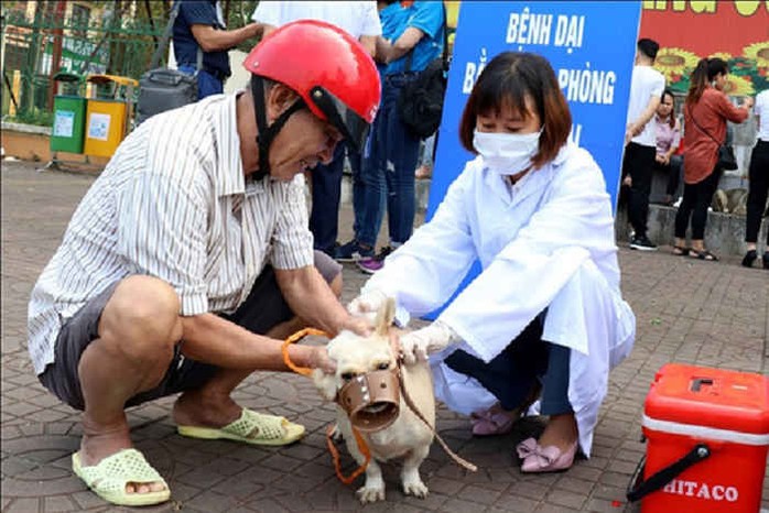 40 người tử vong, Bộ Y tế cảnh báo nguy cơ bệnh dại bùng phát - Ảnh 2.