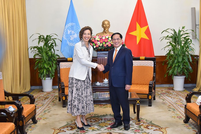 Việt Nam là hình mẫu hợp tác hiệu quả với UNESCO - Ảnh 1.