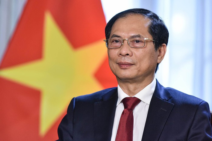Bộ trưởng Bùi Thanh Sơn: Phát huy mạnh mẽ bản sắc ngoại giao cây tre Việt Nam - Ảnh 1.