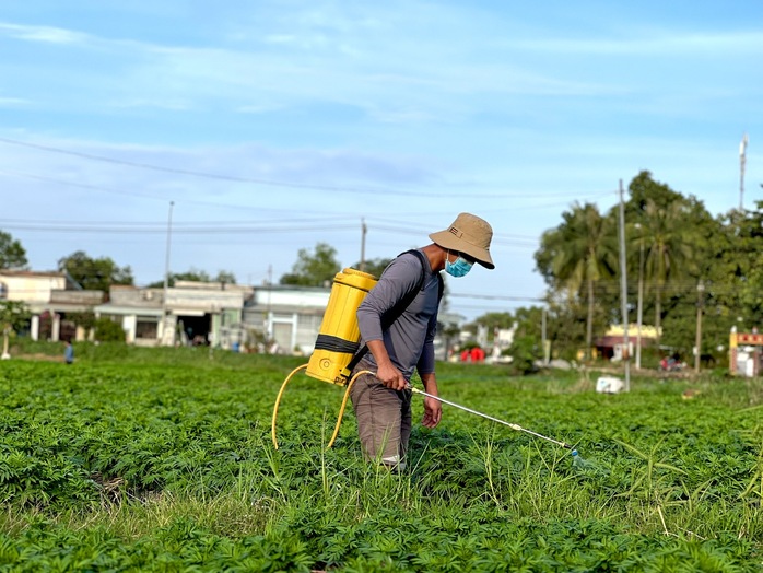 Làng hoa Tân Ba vào vụ Tết - Ảnh 5.