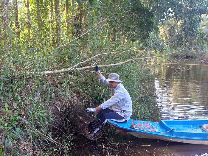CLIP: Đã mắt xem nông dân đặt lọp bắt cá đồng ở rừng U Minh Hạ - Ảnh 3.