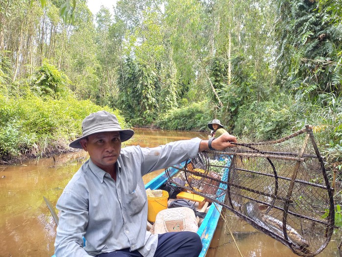 CLIP: Đã mắt xem nông dân đặt lọp bắt cá đồng ở rừng U Minh Hạ - Ảnh 4.