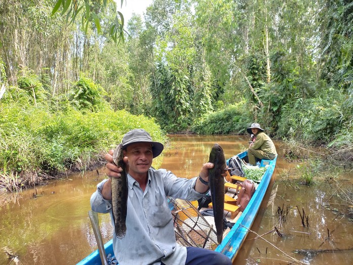 CLIP: Đã mắt xem nông dân đặt lọp bắt cá đồng ở rừng U Minh Hạ - Ảnh 5.