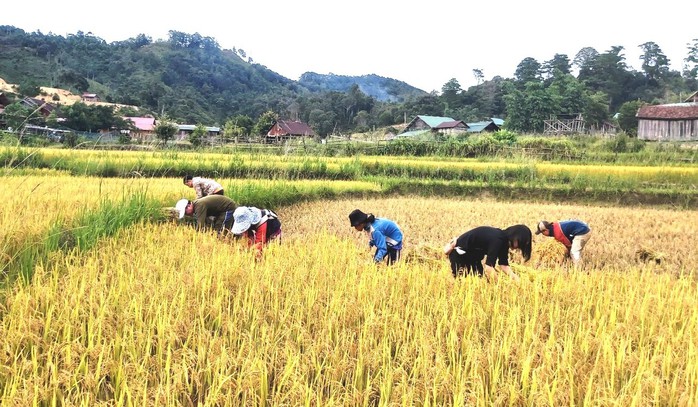 Đón xuân ở nơi tâm chấn động đất - Ảnh 3.