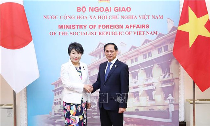 Đề nghị Nhật Bản từng bước tiến tới miễn thị thực cho công dân Việt Nam - Ảnh 1.