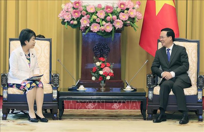 Chủ tịch nước đề nghị Nhật Bản tạo điều kiện thuận lợi cho cộng đồng người Việt - Ảnh 3.
