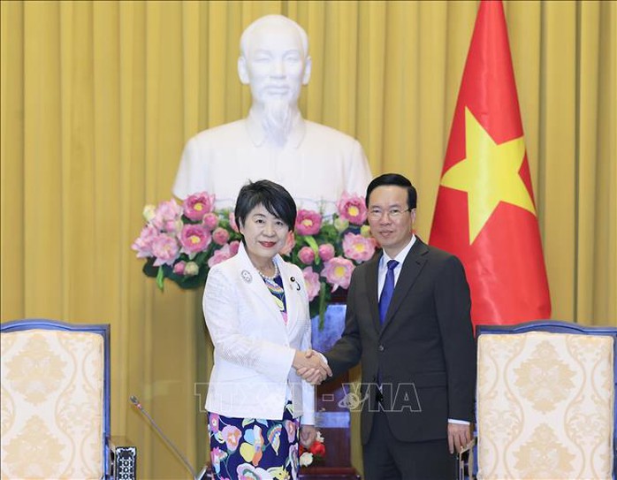 Chủ tịch nước đề nghị Nhật Bản tạo điều kiện thuận lợi cho cộng đồng người Việt - Ảnh 1.