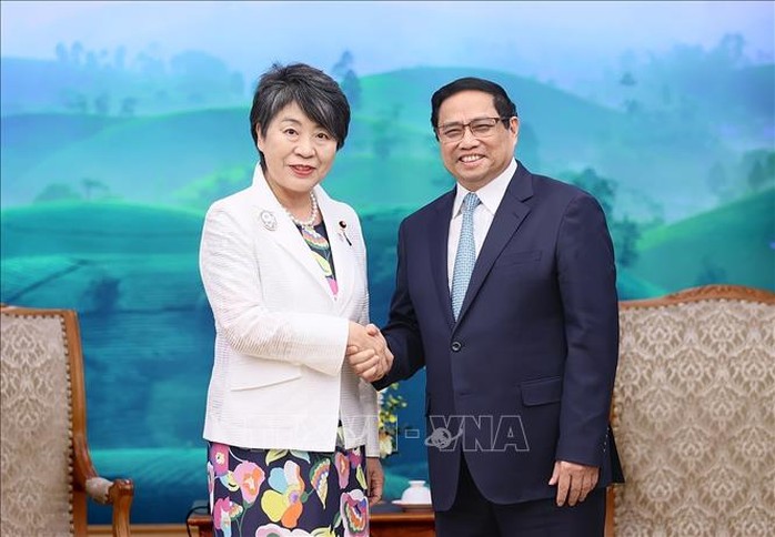 Nhật Bản ưu tiên thúc đẩy hợp tác đào tạo nguồn nhân lực với Việt Nam - Ảnh 1.