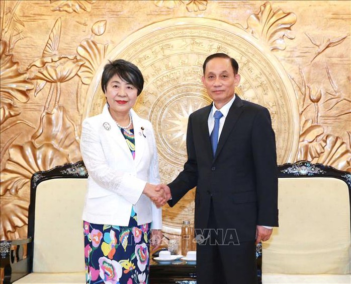 Trưởng ban Đối ngoại Trung ương Lê Hoài Trung tiếp Bộ trưởng Ngoại giao Nhật Bản - Ảnh 1.