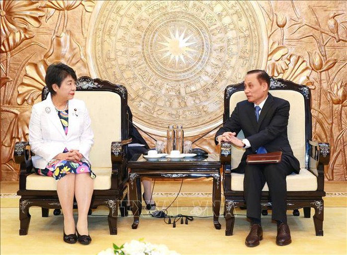 Trưởng ban Đối ngoại Trung ương Lê Hoài Trung tiếp Bộ trưởng Ngoại giao Nhật Bản - Ảnh 3.