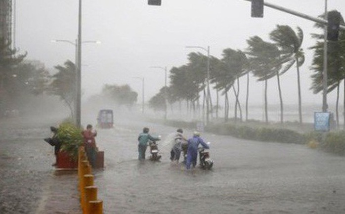 Thừa Thiên-Huế, Đà Nẵng, Quảng Nam có nơi mưa trên 800 mm - Ảnh 1.