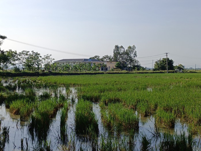 Vỡ đường ống dẫn nước thải, người dân cả tháng sống chung với mùi hôi thối - Ảnh 5.