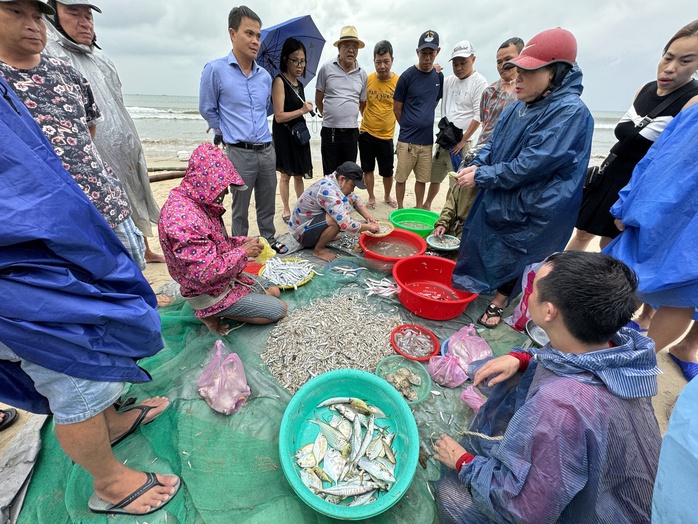 Độc đáo cảnh kéo lưới gần bờ của ngư dân Đà Nẵng mùa biển động - Ảnh 7.