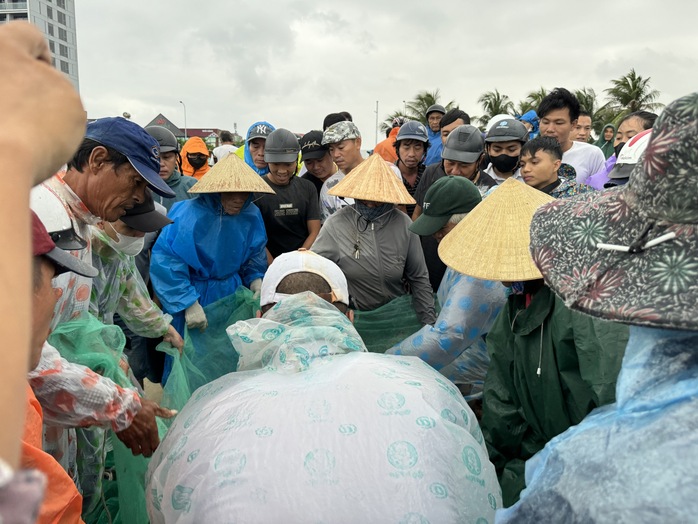 Độc đáo cảnh kéo lưới gần bờ của ngư dân Đà Nẵng mùa biển động - Ảnh 5.
