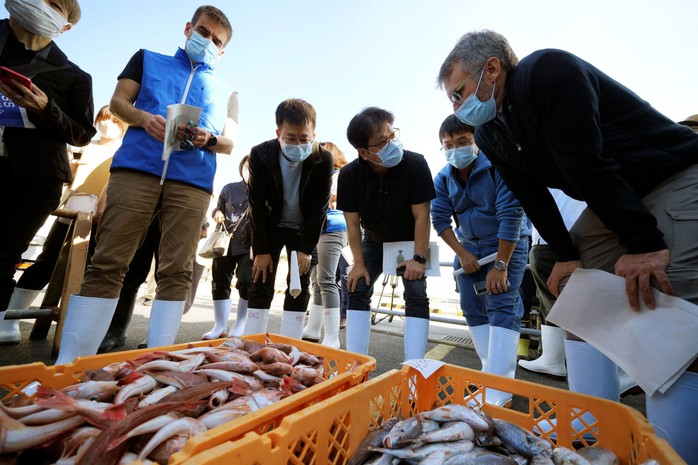 IAEA khảo sát cá gần khu vực xả nước Fukushima - Ảnh 1.