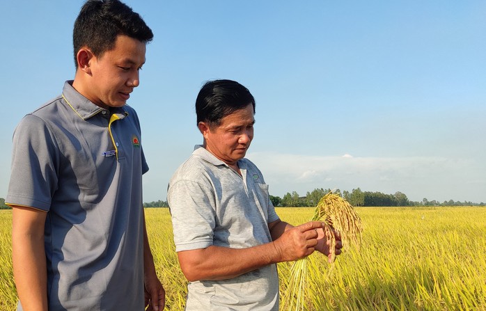 Kiếm thêm 16.000 tỉ đồng từ 1 triệu ha lúa giảm phát thải - Ảnh 2.
