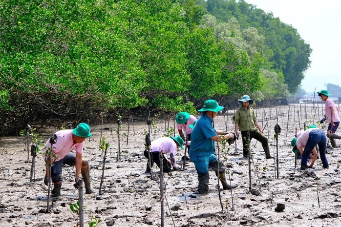 C.P. Việt Nam trồng 3,2 ha rừng ngập mặn tại Đồng Nai - Ảnh 3. C.P. Việt Nam trồng 3,2 ha rừng ngập mặn tại Đồng Nai - Ảnh 3.