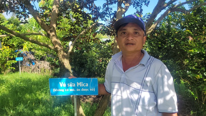Xây vườn sinh thái trên khu đất chua phèn - Ảnh 1. Xây vườn sinh thái trên khu đất chua phèn - Ảnh 1.