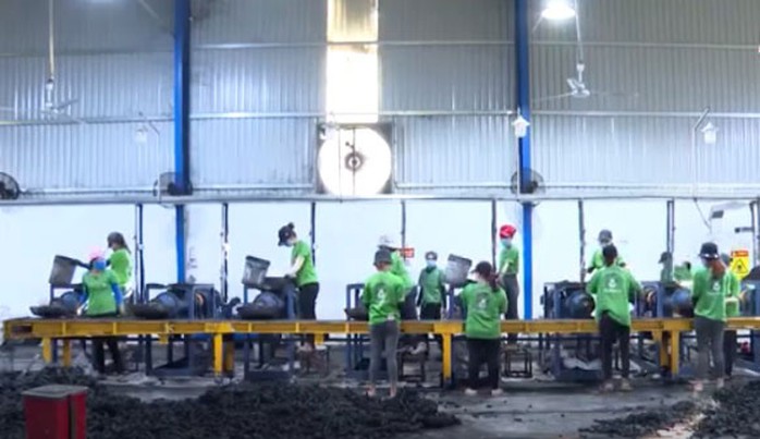 Triển vọng từ than hoạt tính gáo dừa - Ảnh 1. Triển vọng từ than hoạt tính gáo dừa - Ảnh 1.