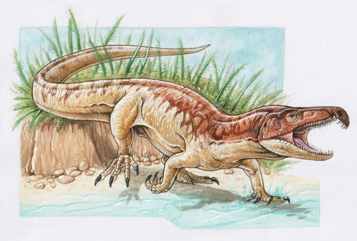 Ấn Độ: Phát hiện quái vật Tây Bengal giống T-rex lai cá sấu - Ảnh 1.