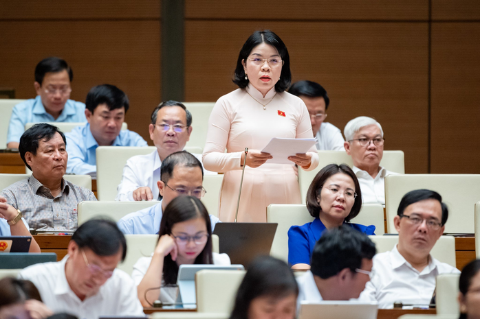 Đại biểu Phạm Khánh Phong Lan: “Quy định, thủ tục quá phức tạp, đá nhau và chậm sửa đổi” - Ảnh 1.