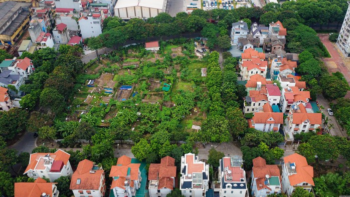 Cận cảnh những ô đất được duyệt xây trường học tại phường đông dân nhất Hà Nội - Ảnh 3.