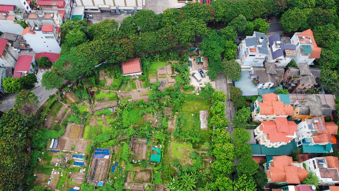 Cận cảnh những ô đất được duyệt xây trường học tại phường đông dân nhất Hà Nội - Ảnh 4.