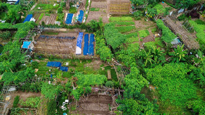 Cận cảnh những ô đất được duyệt xây trường học tại phường đông dân nhất Hà Nội - Ảnh 5.