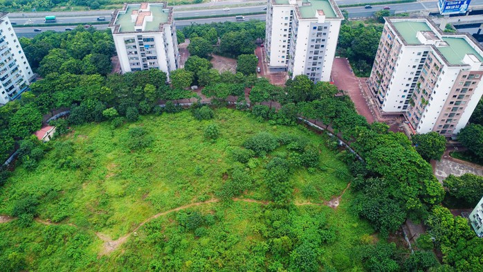 Cận cảnh những ô đất được duyệt xây trường học tại phường đông dân nhất Hà Nội - Ảnh 10.