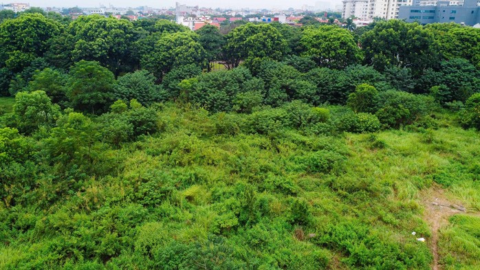 Cận cảnh những ô đất được duyệt xây trường học tại phường đông dân nhất Hà Nội - Ảnh 11.