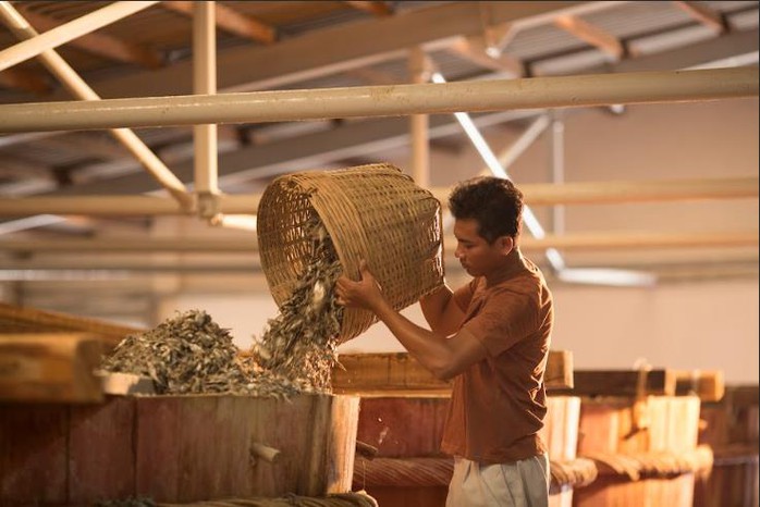 Mê món Việt 15 năm, Chad Kubanoff lần đầu đến thăm nhà thùng nước mắm Chin-su Phú Quốc - Ảnh 3. Mê món Việt 15 năm, Chad Kubanoff lần đầu đến thăm nhà thùng nước mắm Chin-su Phú Quốc - Ảnh 3.