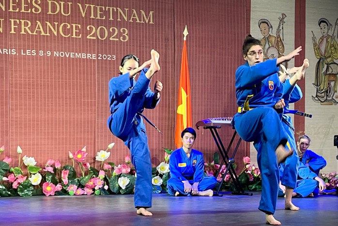 Ngày Việt Nam tại Pháp 2023: Ấn tượng võ Việt - Ảnh 5.