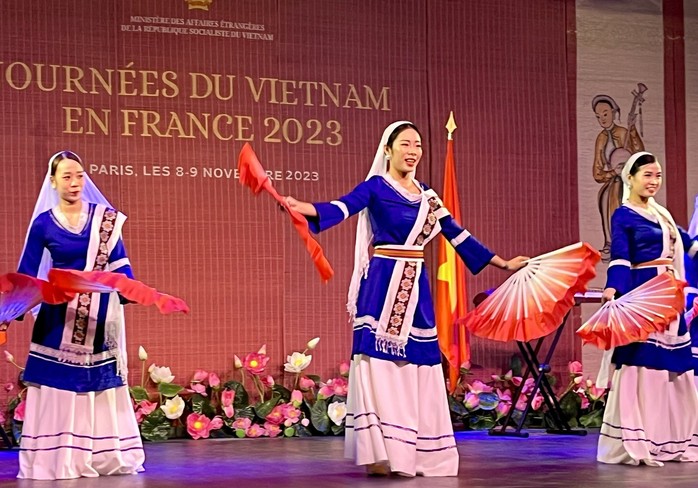 Ngày Việt Nam tại Pháp 2023: Ấn tượng võ Việt - Ảnh 9.
