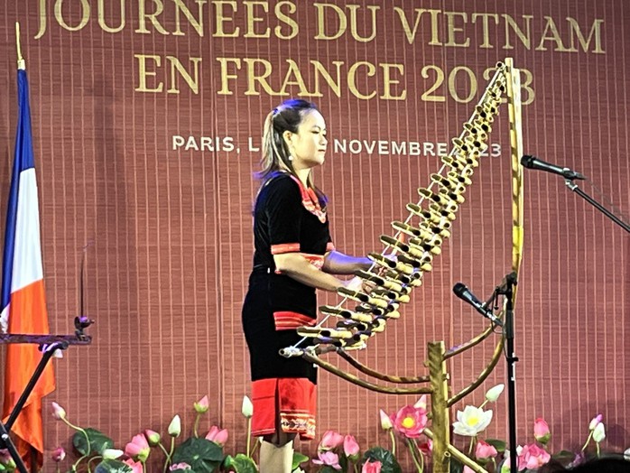 Ngày Việt Nam tại Pháp 2023: Ấn tượng võ Việt - Ảnh 10.