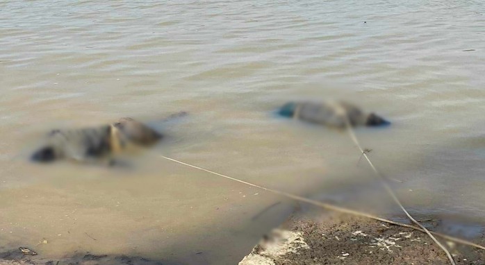 Phát hiện 2 thi thể đàn ông trôi dạt trên sông Lam - Ảnh 1.