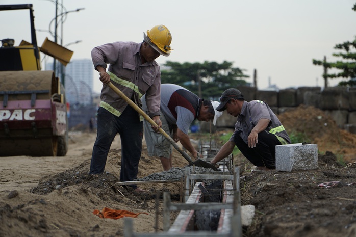 Cận cảnh thi công vườn hoa hướng dương cạnh bờ sông Sài Gòn - Ảnh 3.