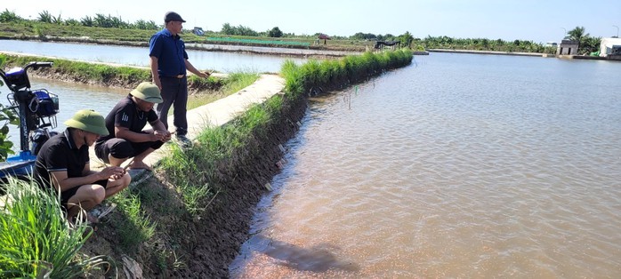 Nuôi rươi bán 300 ngàn đồng/kg, nông dân thu chục triệu đồng/ngày - Ảnh 2.