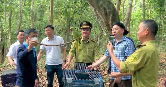 Bệnh viện của mu&ocirc;ng th&uacute; - Ảnh 1.