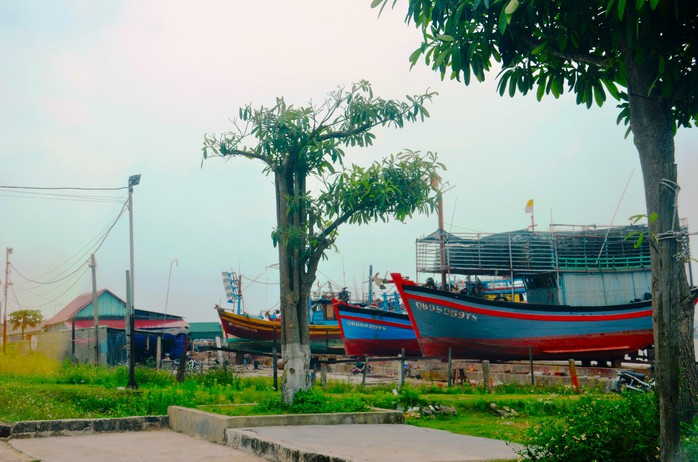Thêm dự án 350 tỉ đồng để xây dựng khu neo đậu, cảng cá ở Quảng Bình - Ảnh 1.