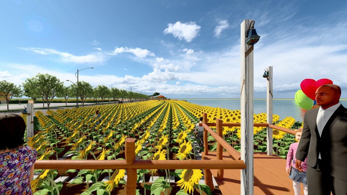 Ngắm phối cảnh tuyệt đẹp của cánh đồng hoa hướng dương ven bờ sông Sài Gòn - Ảnh 6. Ngắm phối cảnh tuyệt đẹp của cánh đồng tỷ lệ kèo góc nhà cái hướng dương ven bờ sông Sài Gòn - Ảnh 6.